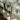 RS_AOL-R_1536FuD45ceQWyJZ