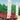 verlade_125